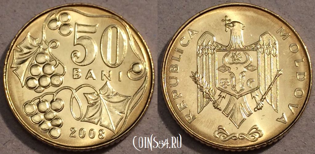 Монета Молдавия 50 бань 2008 года, KM# 10, UNC, 109-045