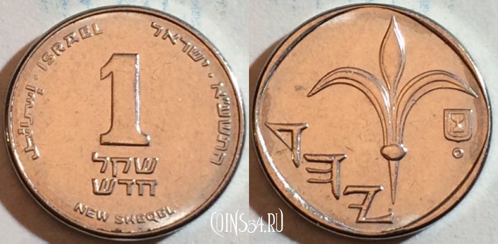 Монета Израиль 1 новый шекель 2012 года, KM# 160, 188-051