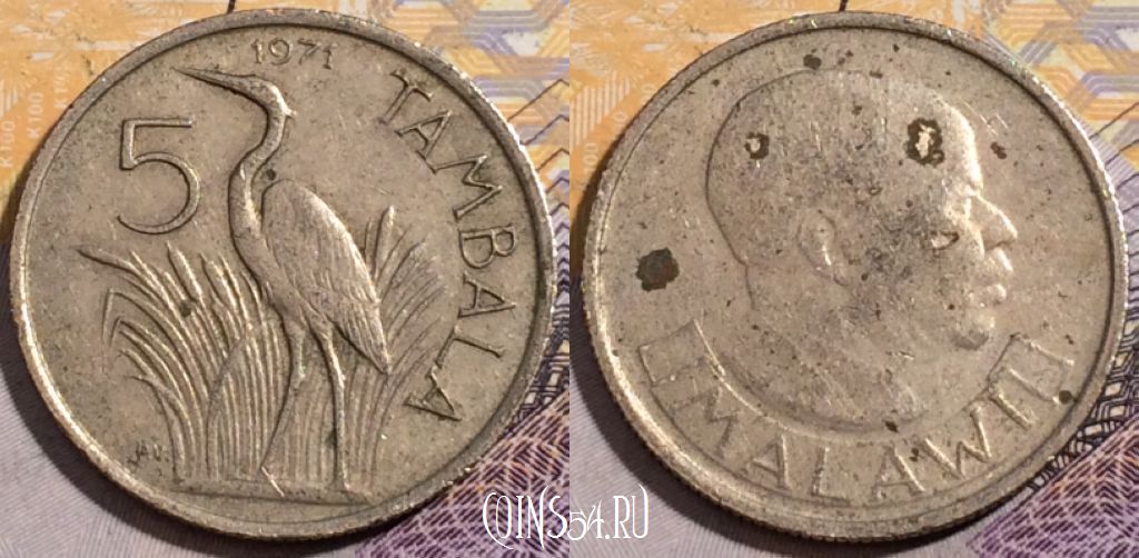 Монета Малави 5 тамбал 1971 года, KM# 9, 197-120
