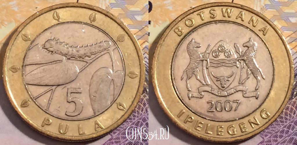 Монета Ботсвана 5 пул 2007 года, КМ# 30, 203-066