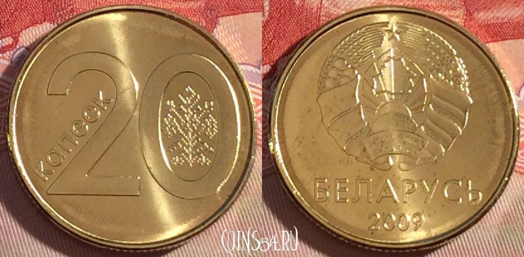 Монета Беларусь 20 копеек 2009 года, KM# 565, UNC, 266-075
