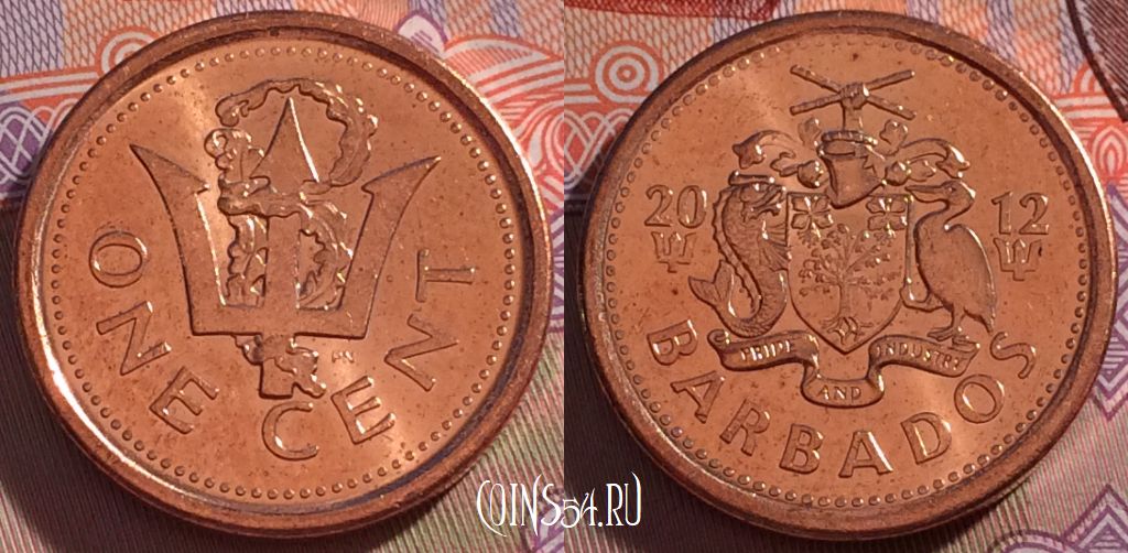 Монета Барбадос 1 цент 2012 года, KM 10b, 270-035
