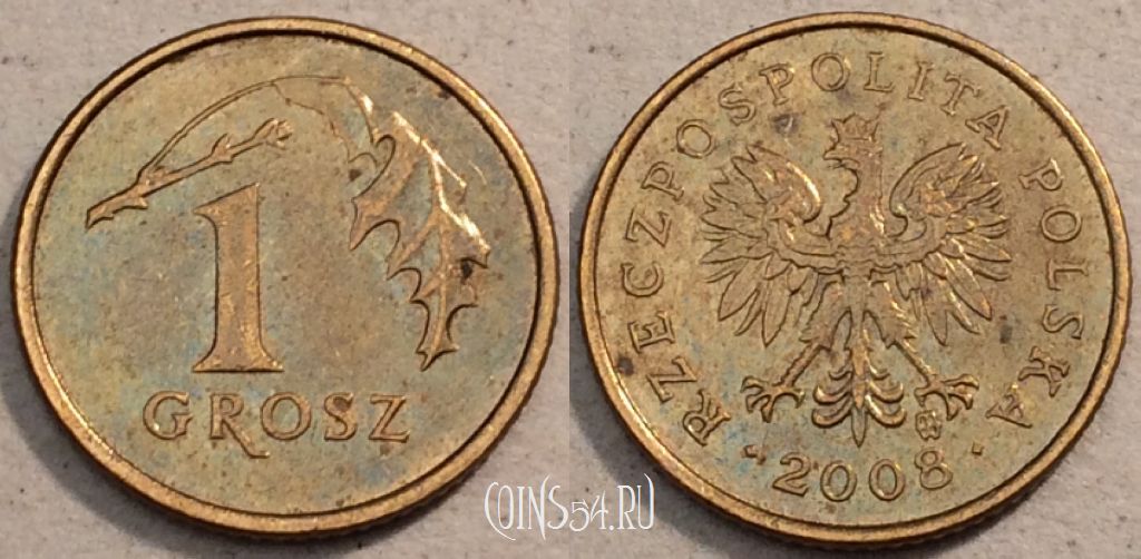 Монета Польша 1 грош 2008 года, Y# 276, 97-001