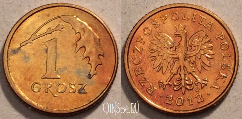 Монета Польша 1 грош 2012 года, Y# 276, 97-017