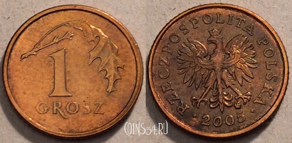 Монета Польша 1 грош 2005 год, Y# 276, 97-019