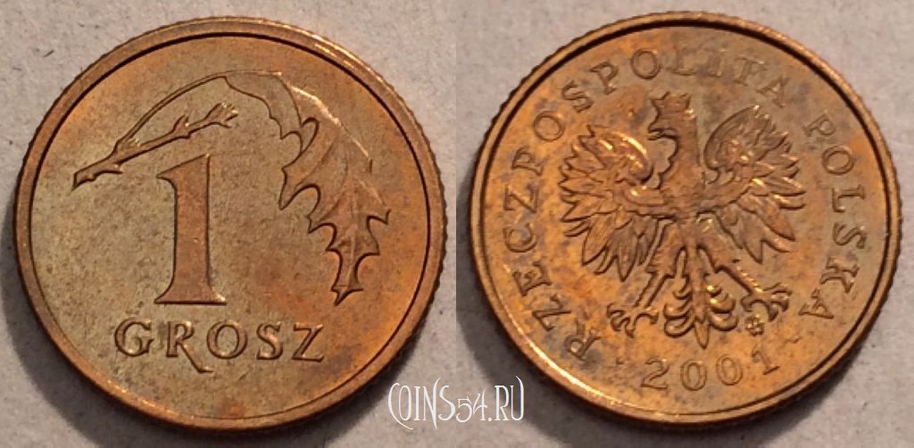 Монета Польша 1 грош 2001 года, Y# 276, 97-022