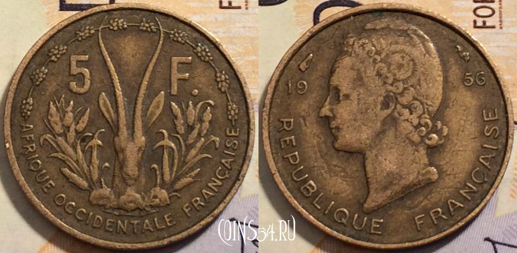 Французская Западная Африка 5 франков 1956 года, KM# 5, 204-131