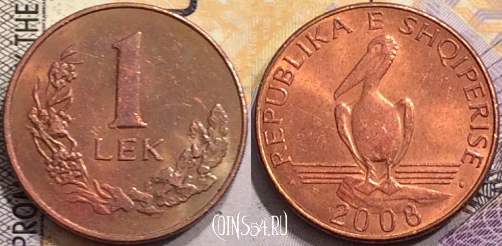 Монета Албания 1 лек 2008 года, KM# 75a, 151-078