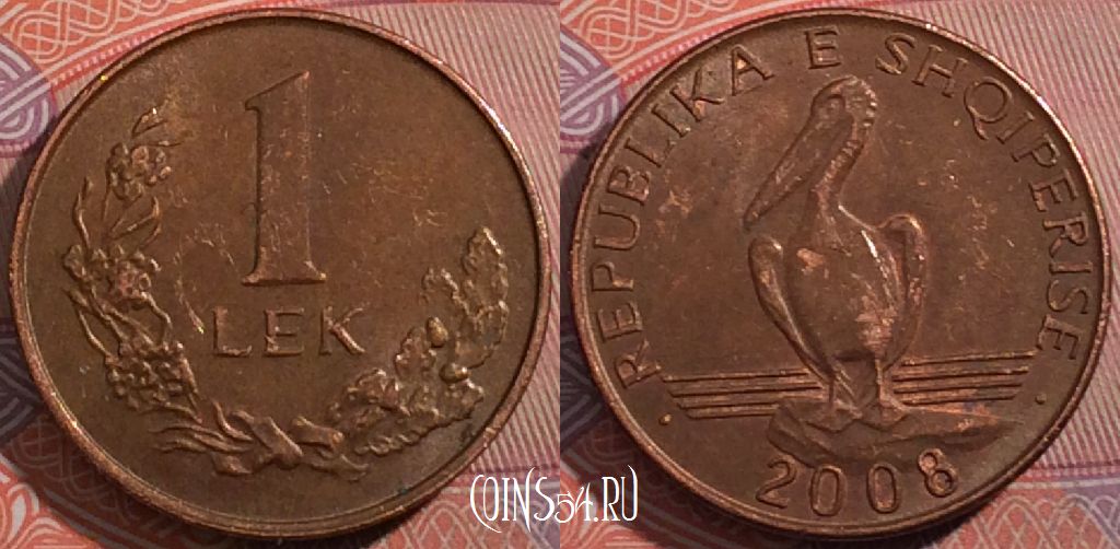 Монета Албания 1 лек 2008 года, KM# 75a, 181-019