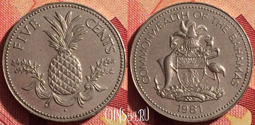 Монета Багамы 5 центов 1981 года, KM# 60, 206i-016