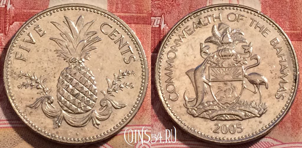 Монета Багамы 5 центов 2005 года, КМ 60, 227-053