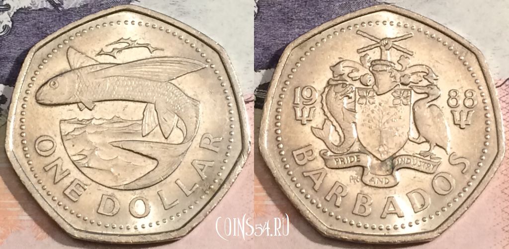 Монета Барбадос 1 доллар 1988 года, KM# 14.2, 166-100