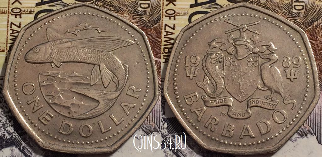Монета Барбадос 1 доллар 1989 года, KM# 14.2, 238-142