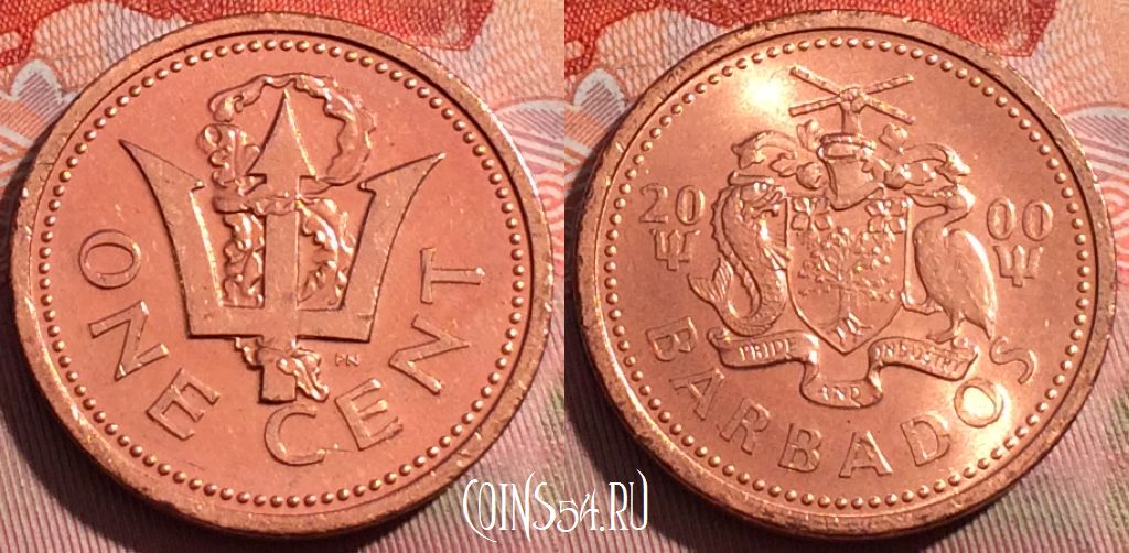 Монета Барбадос 1 цент 2000 года, KM# 10a, 257a-057