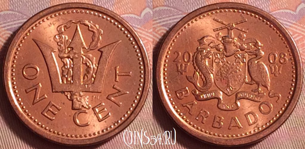 Монета Барбадос 1 цент 2008 года, KM# 10b, 092k-103