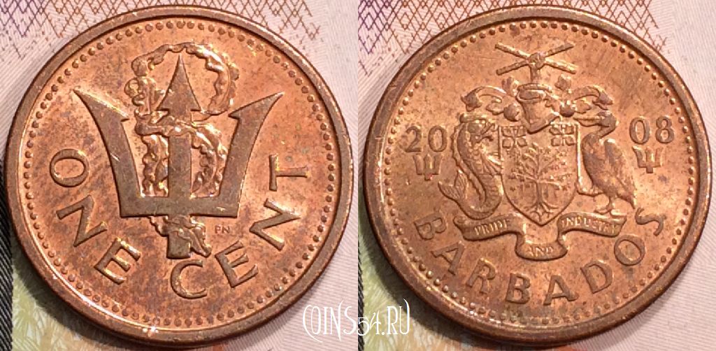 Монета Барбадос 1 цент 2008 года, KM# 10b, 130-012