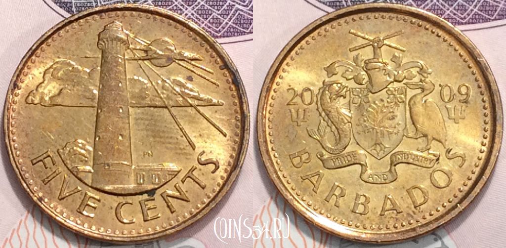 Монета Барбадос 5 центов 2009 года, KM# 11a, 127-018