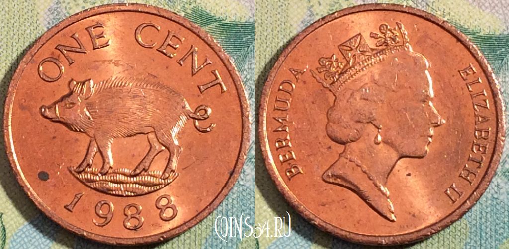 Монета Бермуды 1 цент 1988 года, KM# 44, a090-087
