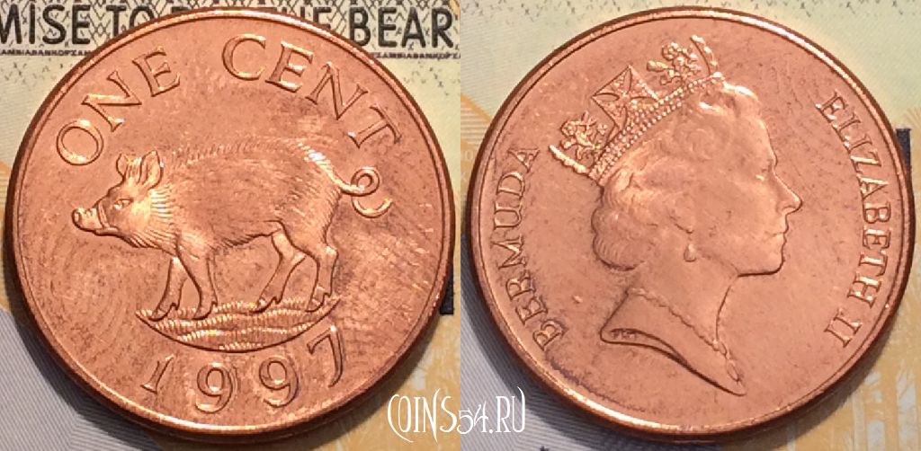 Монета Бермуды 1 цент 1997 года, KM 44b, 118-022