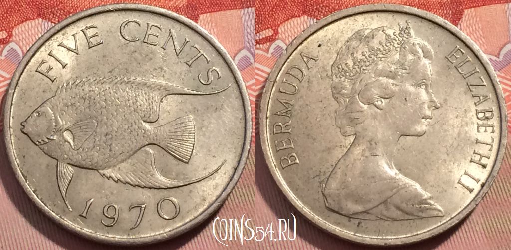 Монета Бермуды 5 центов 1970 года, KM# 16, 243-121