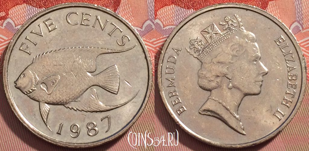 Монета Бермуды 5 центов 1987 года, KM# 45, 241-126