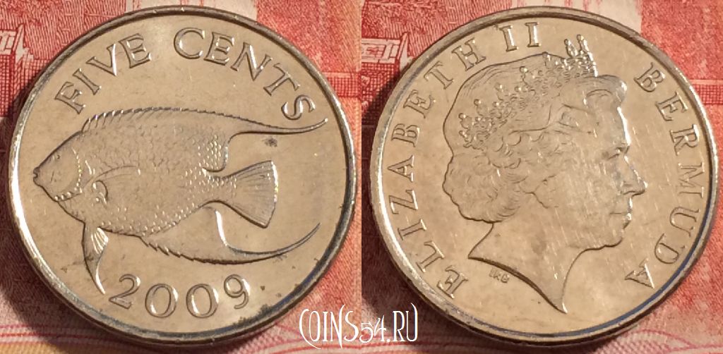 Монета Бермуды 5 центов 2009 года, KM# 108, 258-070