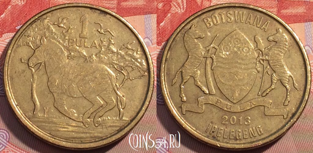 Монета Ботсвана 1 пула 2013 года, KM# 35, 098b-096