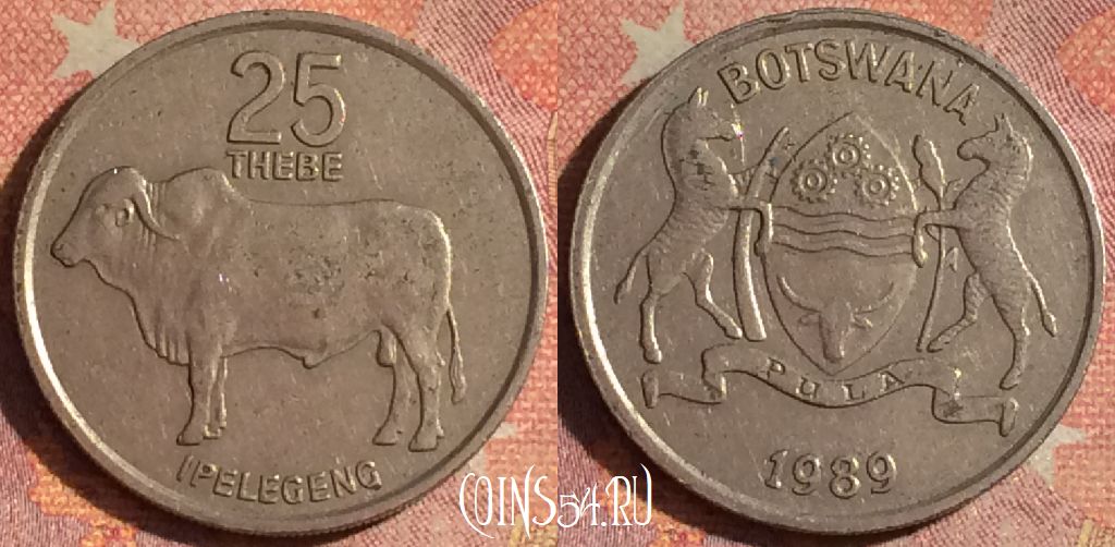 Монета Ботсвана 25 тхебе 1989 года, КМ# 6, 181i-113