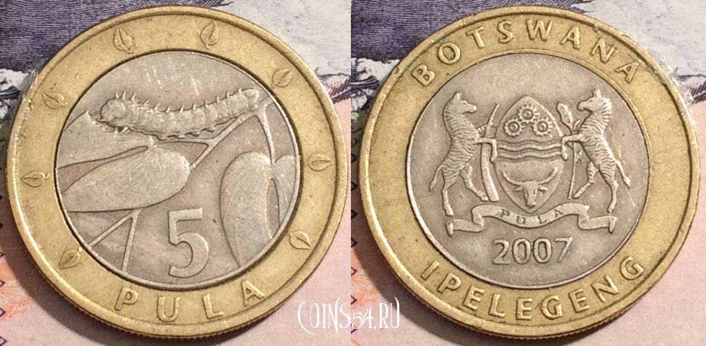Монета Ботсвана 5 пул 2007 года, КМ# 30, 171-093