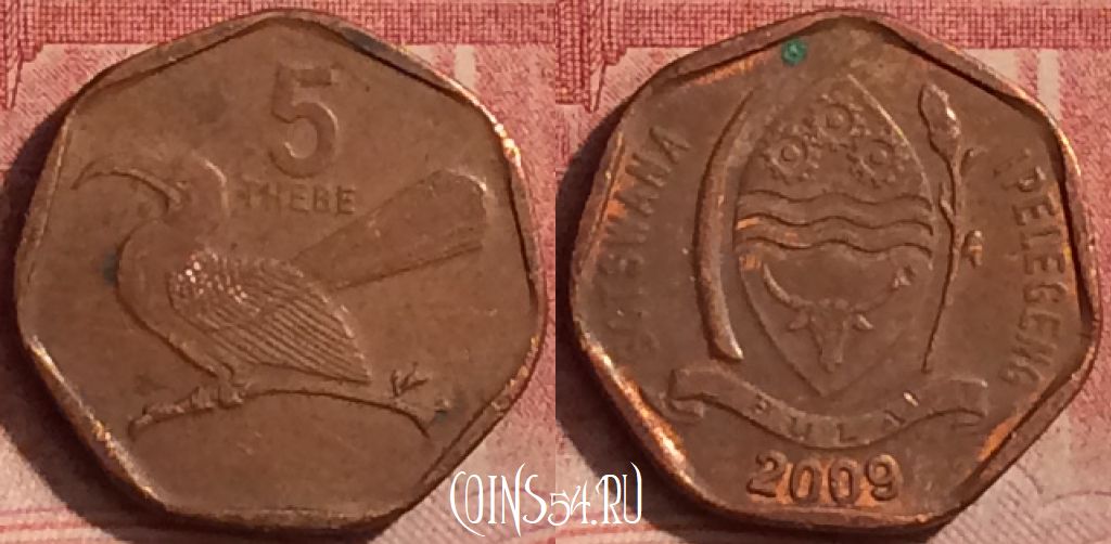Монета Ботсвана 5 тхебе 2009 года, KM# 26, 070l-116