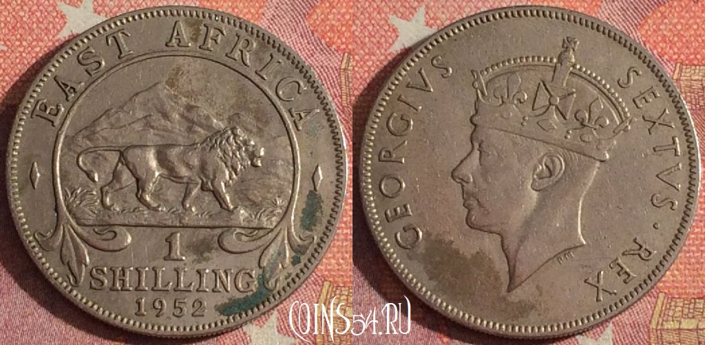 Монета Британская Восточная Африка 1 шиллинг 1950 года, KM# 31, 366-101