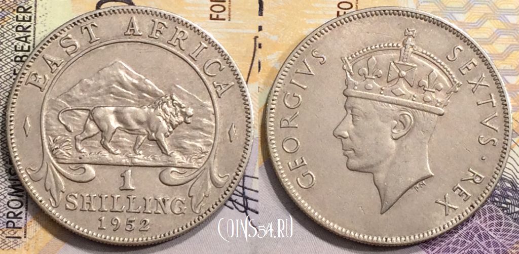 Монета Британская Восточная Африка 1 шиллинг 1952 года, KM# 31, 153-032
