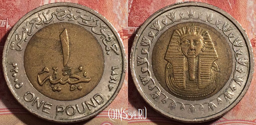 Монета Египет 1 фунт 2005 года (٢٠٠٥), KM# 940, 211-059