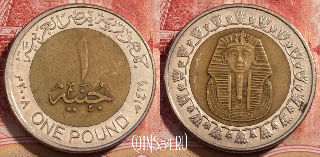 Монета Египет 1 фунт 2008 года (٢٠٠٨), KM# 940a, 227-042