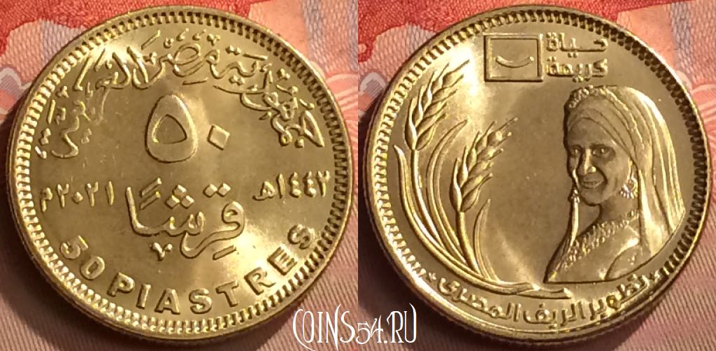 Монета Египет 50 пиастров 2021 года (٢٠٢١), 254m-093