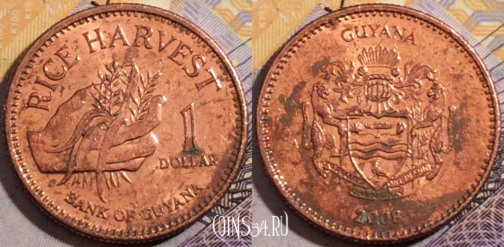 Монета Гайана 1 доллар 2008 года, KM# 50, 195-143