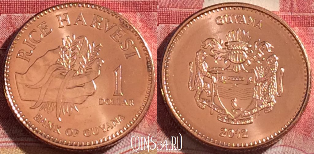 Монета Гайана 1 доллар 2012 года, KM# 50, 263-095