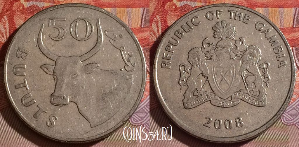 Монета Гамбия 50 бутутов 2008 года, KM# 58a, 075d-023