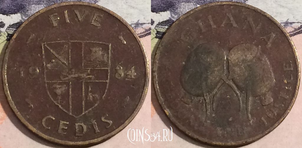 Монета Гана 5 седи 1984 года, KM# 26, 170-049
