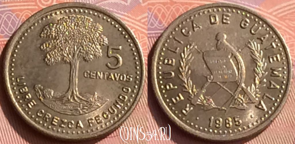 Монета Гватемала 5 сентаво 1985 года, KM# 276, 209n-027