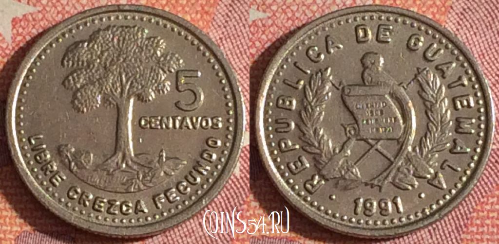 Монета Гватемала 5 сентаво 1991 года, KM# 276, 366-082
