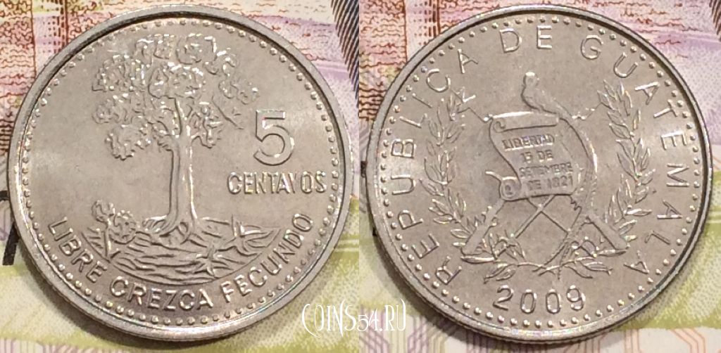 Монета Гватемала 5 сентаво 2009 года, KM# 276.6, 128-144