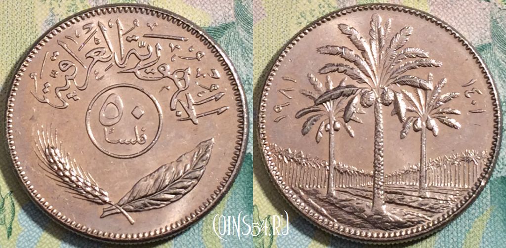 Монета Ирак 50 филсов 1981 года (١٩٨١), KM# 128, a090-072