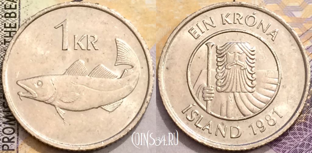 Монета Исландия 1 крона 1981 года, KM# 27, a094-052