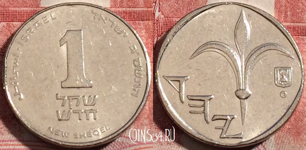 Монета Израиль 1 новый шекель 2003 года, KM# 160, 215-010