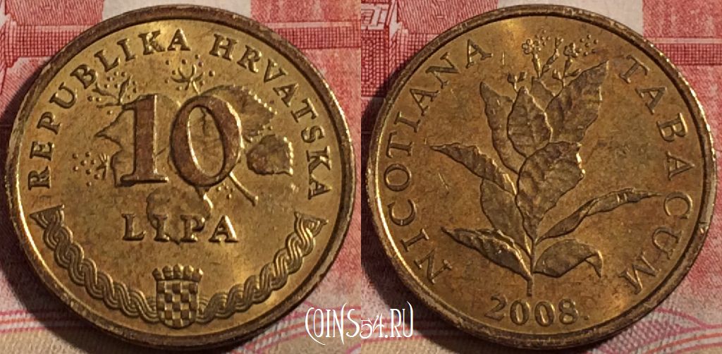 Монета Хорватия 10 лип 2008 года, KM# 16, 215-105