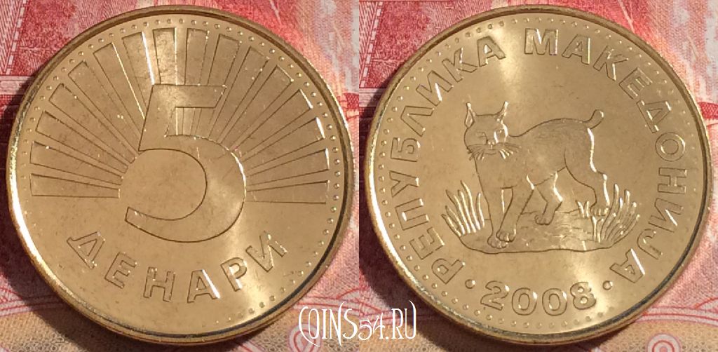 Монета Македония 5 денаров 2008 года, KM# 4, 263-115