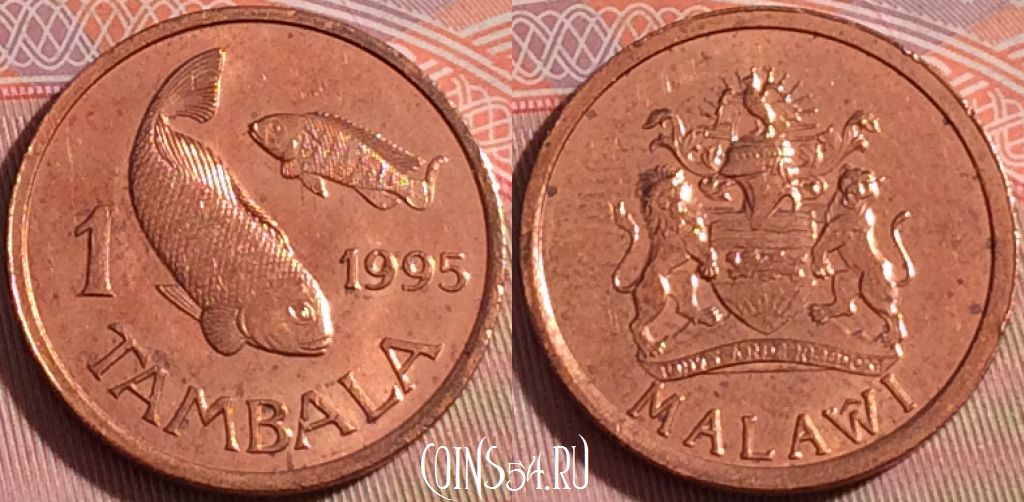 Монета Малави 1 тамбала 1995 года, KM# 33, 114b-051