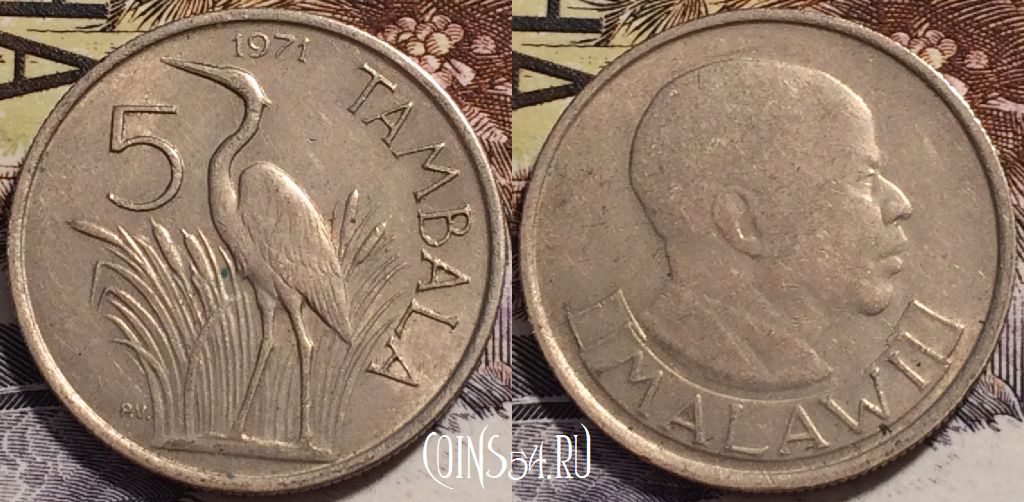 Монета Малави 5 тамбал 1971 года, KM# 9, 238-098