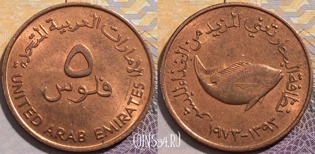 Монета ОАЭ 5 филсов 1973 года (١٩٧٣), KM# 2.1, 205-004
